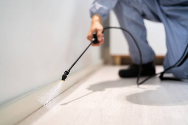 Licensed Cockroach Control service in Waterford, CA - Nex Pest Control